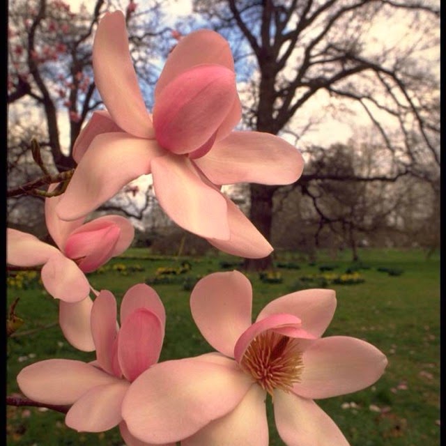 Watershed Yoga & Registered Massage Therapy | 13021 County Rd 18, Williamsburg, ON K0C 2H0, Canada | Phone: (613) 791-7944