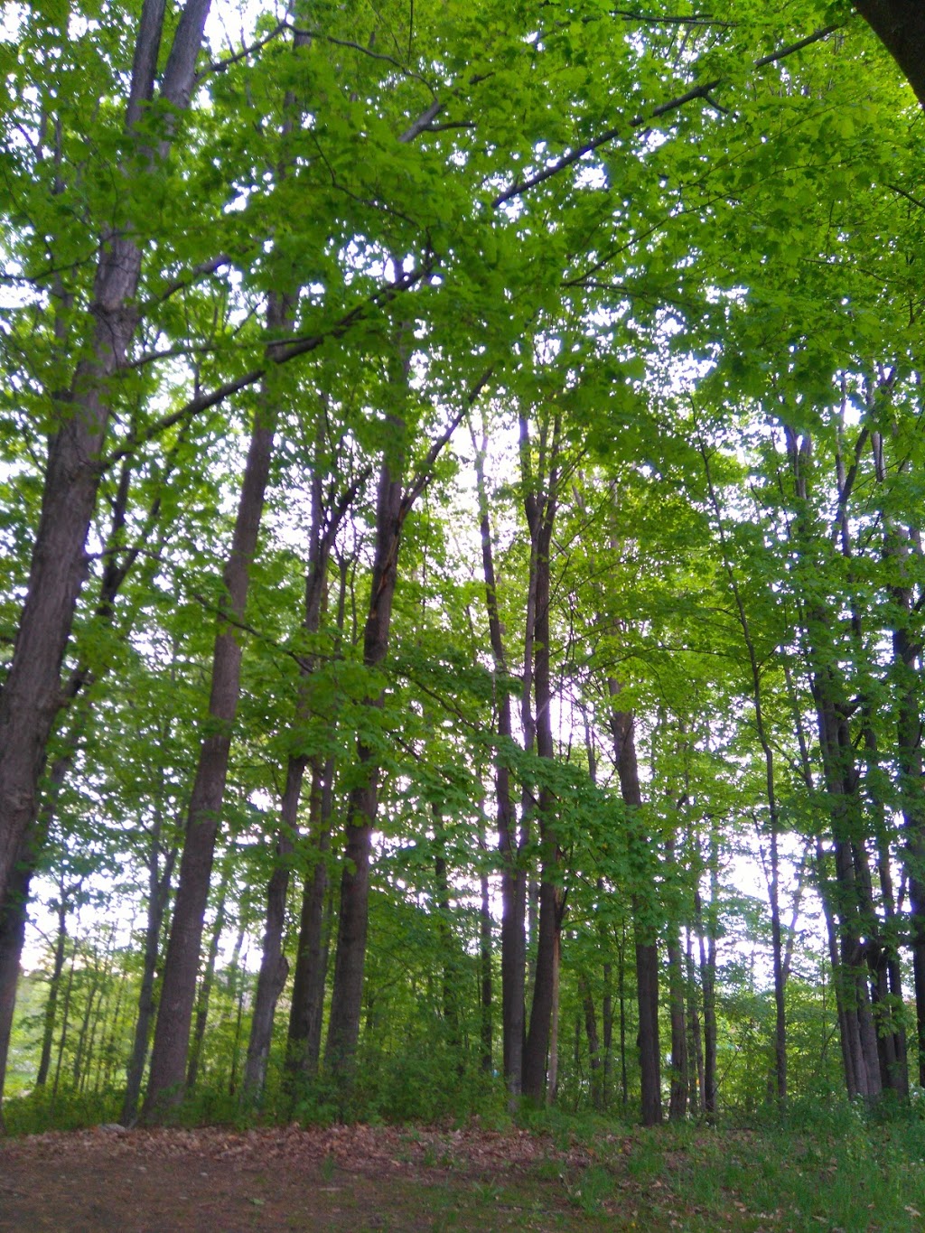 Shoreview Park | Indian Arrow Rd, Barrie, ON L4M, Canada | Phone: (705) 739-4255