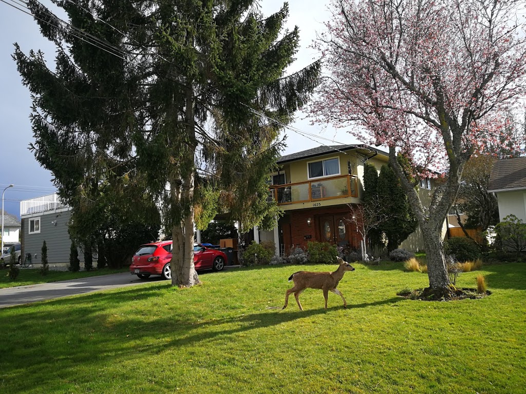 Khloe Park | Victoria, BC V8N 2L6, Canada