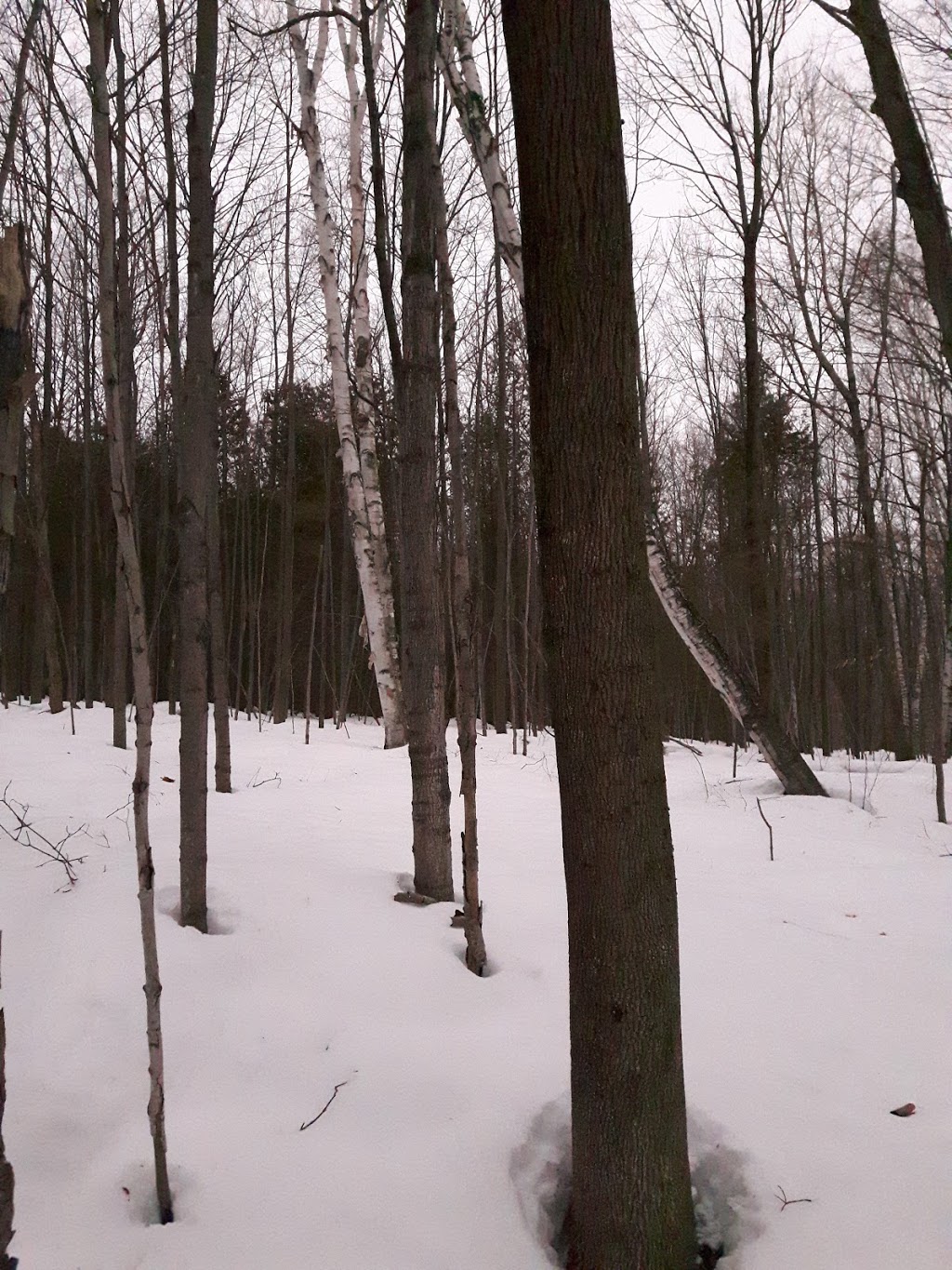 Morningstar Park | 1125 Mississaga St W, Orillia, ON L3V 3C8, Canada