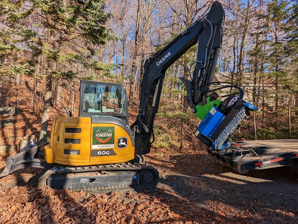 LE PETIT FORESTIER | 500 Chem. Gillespie, Sainte-Agathe-des-Monts, QC J8C 0X6, Canada | Phone: (514) 238-0666