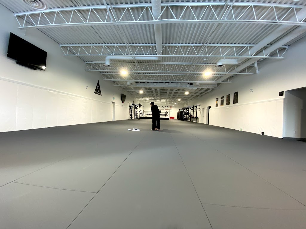 Brave Martial Arts Institute Inc. | 2161 Thurston Dr, Ottawa, ON K1G 6C9, Canada | Phone: (613) 319-7951