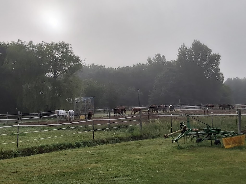 Green Glen Farm Inc | 3536 Hunt Line Rd, Kinburn, ON K0A 2H0, Canada | Phone: (613) 623-4289