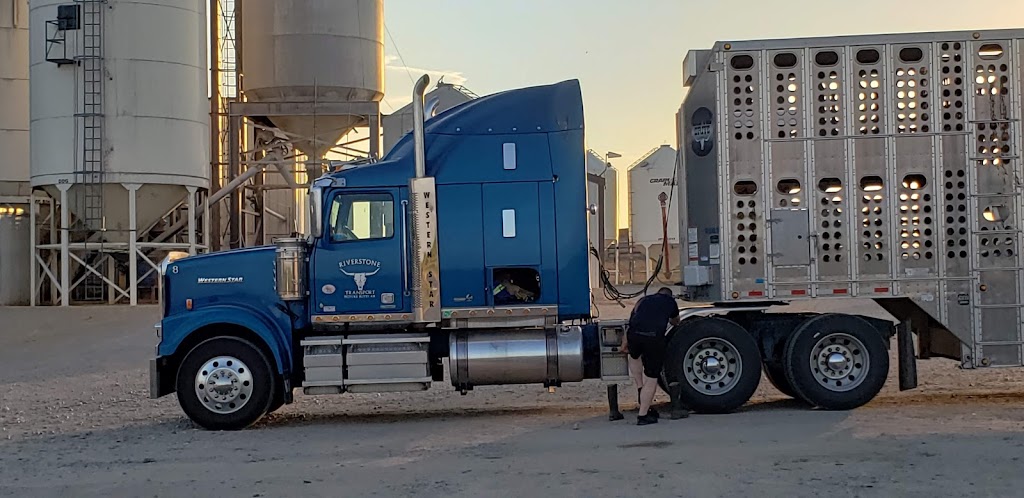 Grandview Cattle Feeders - South Lot | Range Rd 224, Shaughnessy, AB T0K 2A0, Canada | Phone: (403) 732-4222
