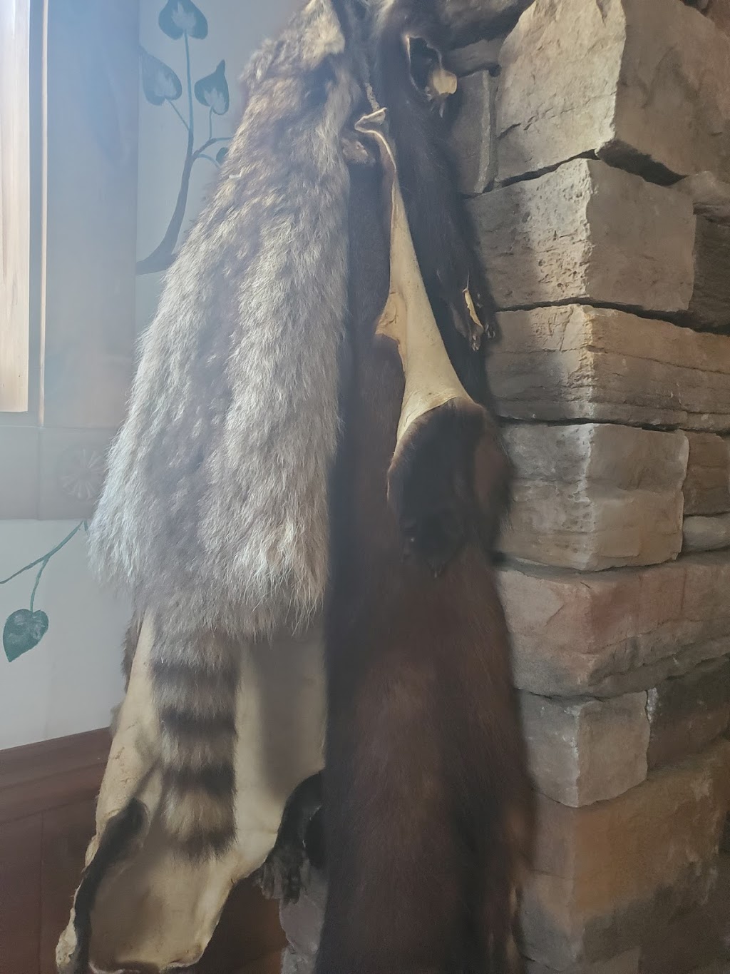 Racks Taxidermy | 3592 Linda St, Innisfil, ON L9S 2L2, Canada | Phone: (705) 294-1440
