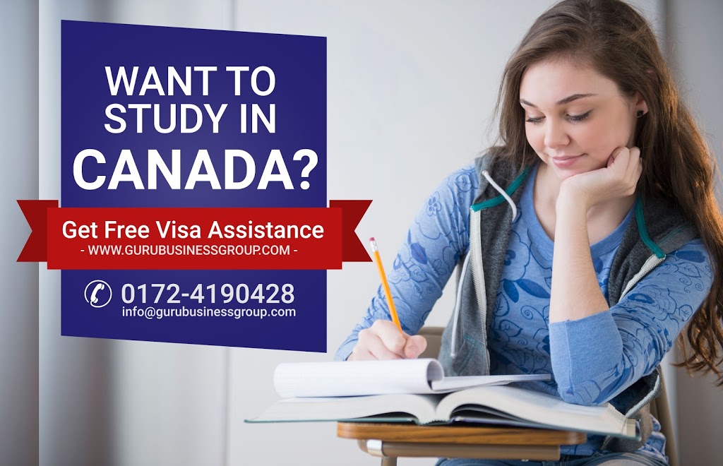 Guru Business Group | 10318 Whalley Blvd #1, Surrey, BC V3T 4H4, Canada | Phone: (604) 377-8141
