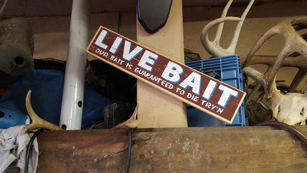 Hass Live Bait | Alban, ON P0M 1A0, Canada | Phone: (705) 857-3096