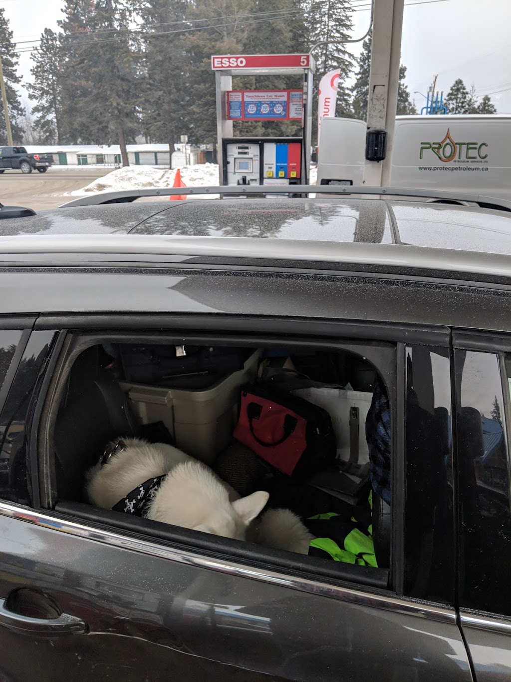 Esso | 5655 BC-97A, Enderby, BC V0E 1V0, Canada | Phone: (250) 838-9422