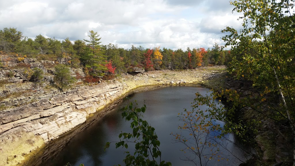 Flat Rock State Forest | 4083 Military Turnpike, Altona, NY 12910, USA