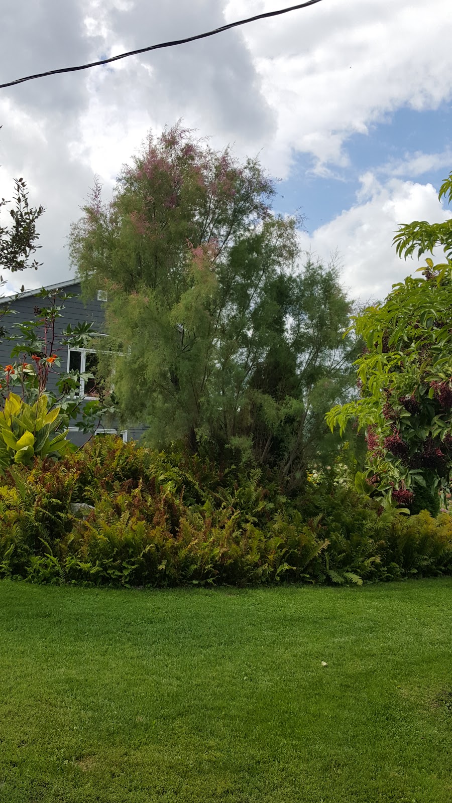 Milliken Landscaping | 1370 Scheel Dr, Braeside, ON K0A 1G0, Canada | Phone: (613) 623-8486