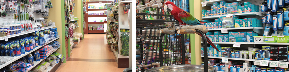 Animonde | 900 Boulevard Grignon, Saint-Jérôme, QC J7Y 3S7, Canada | Phone: (450) 432-4884