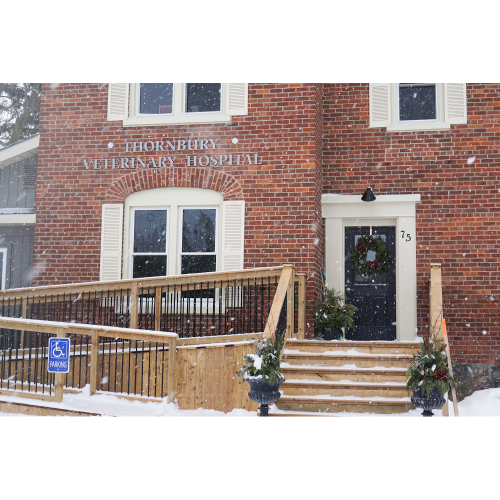 Thornbury Veterinary Hospital | Box 935, 75 King St E, Thornbury, ON N0H 2P0, Canada | Phone: (519) 599-1245