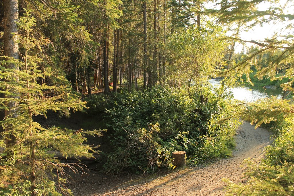 Camping Red Lodge Provincial Park | Spruce View, AB T0M 1V0, Canada | Phone: (403) 224-2547