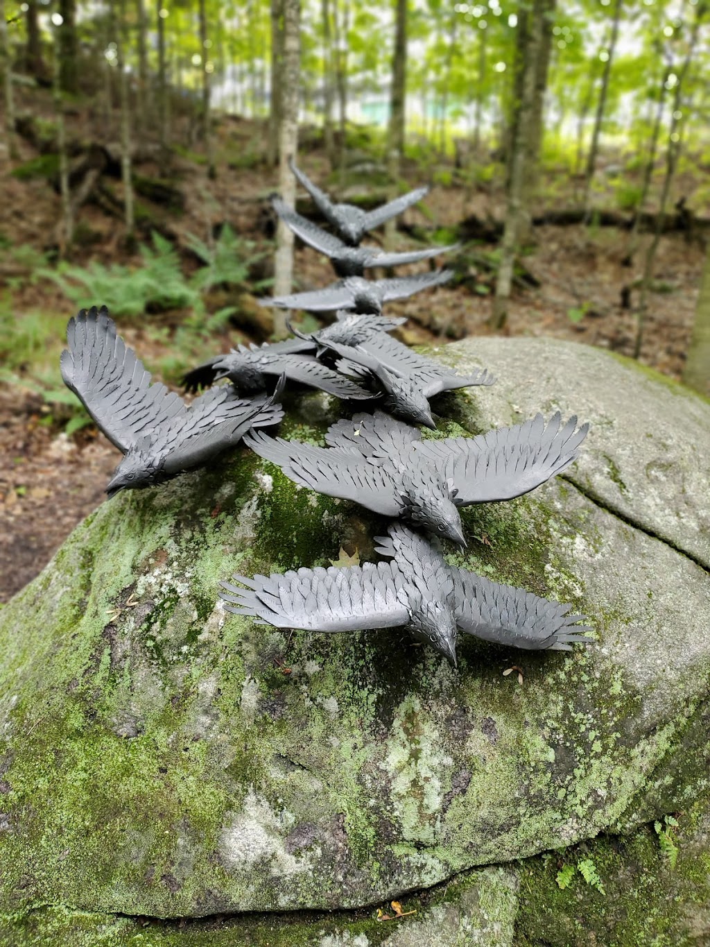 Haliburton Sculpture Forest | 297 College Dr, Haliburton, ON K0M 1S0, Canada | Phone: (705) 457-3555