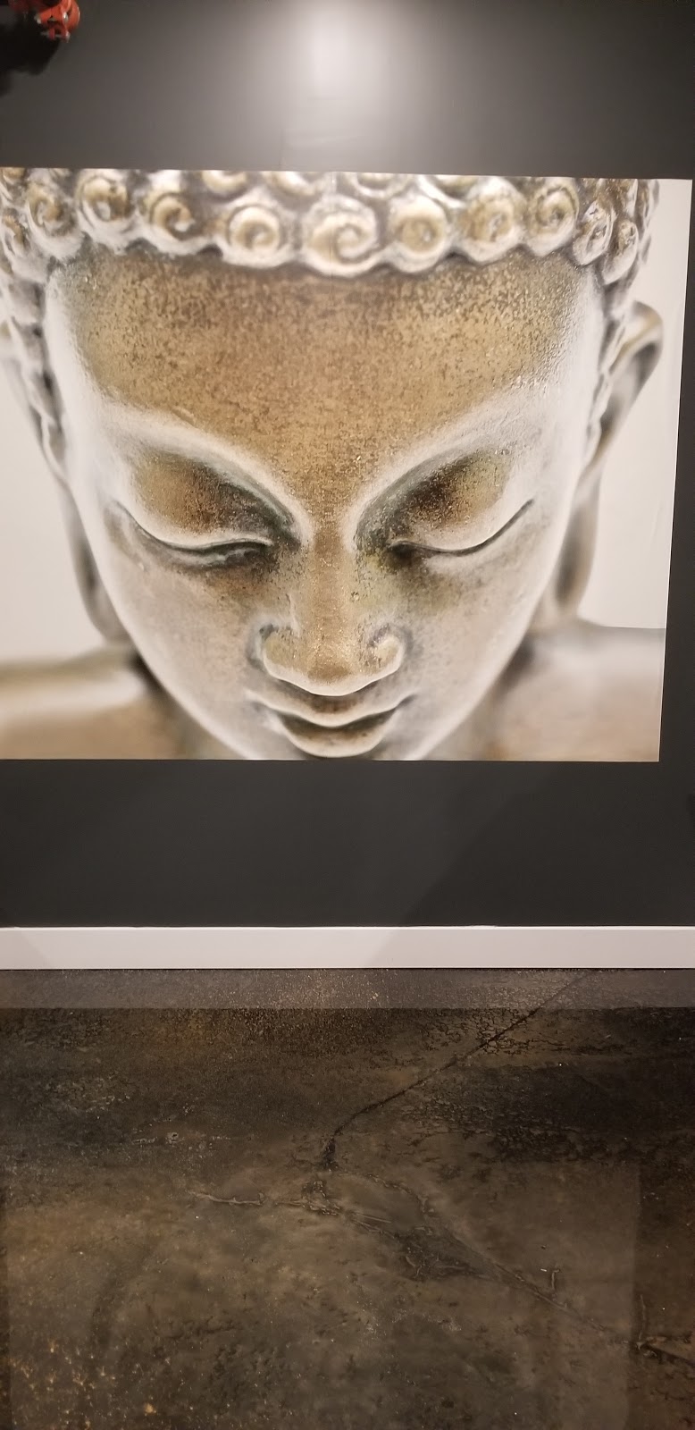 Idolem Hot Yoga Chaud | 464 Rue du Parc, Saint-Eustache, QC J7R 0C9, Canada | Phone: (514) 894-6048