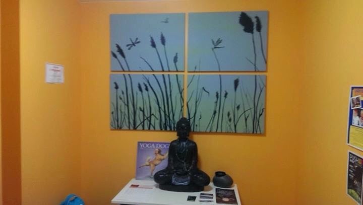 Between the Mats Yoga | 6 Hornak Rd, Smithville, ON L0R 2A0, Canada | Phone: (905) 978-1536