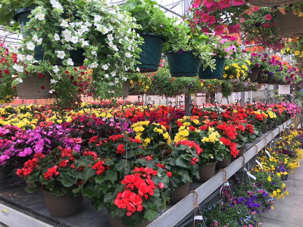 Naturipe Food Market Inc | 239 Portage Rd, Bolsover, ON K0M 1B0, Canada | Phone: (705) 426-5324