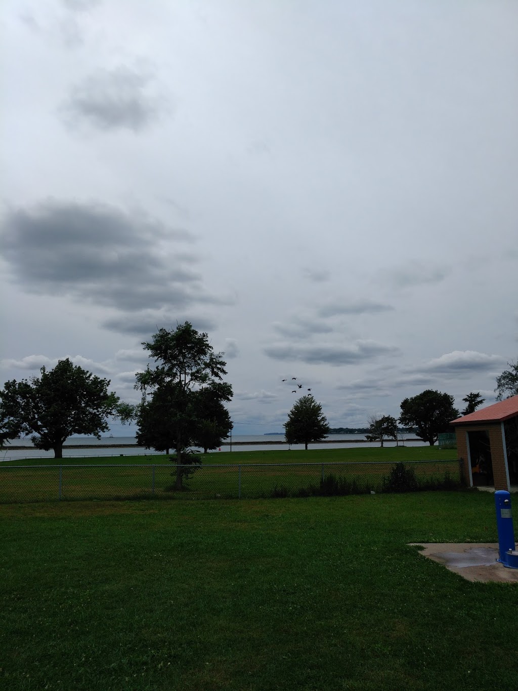 The Barkyard - Off-Leash Dog Park | D A R Dr, Buffalo, NY 14202, USA | Phone: (716) 218-0303