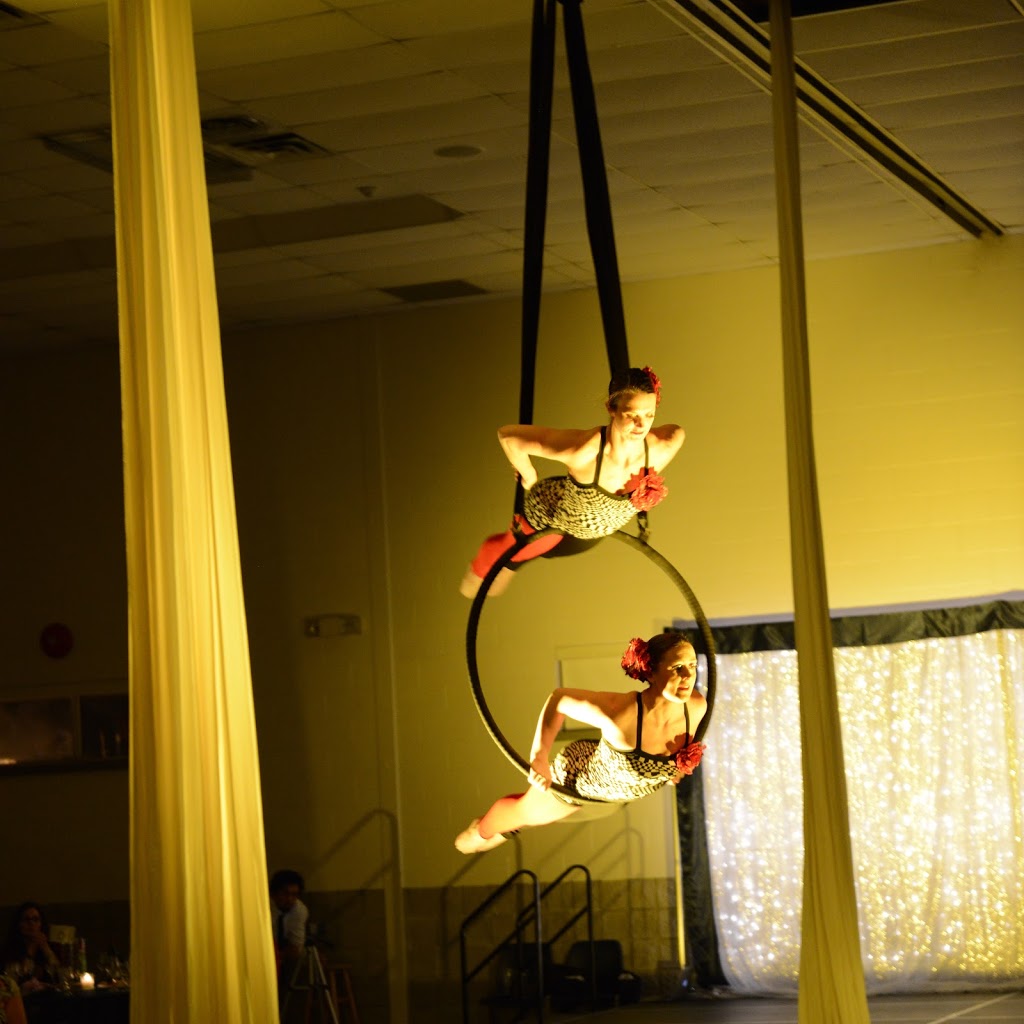 Collingwood Circus Club | 95 Sandford Fleming Dr, Collingwood, ON L9Y 5A6, Canada | Phone: (705) 444-9675