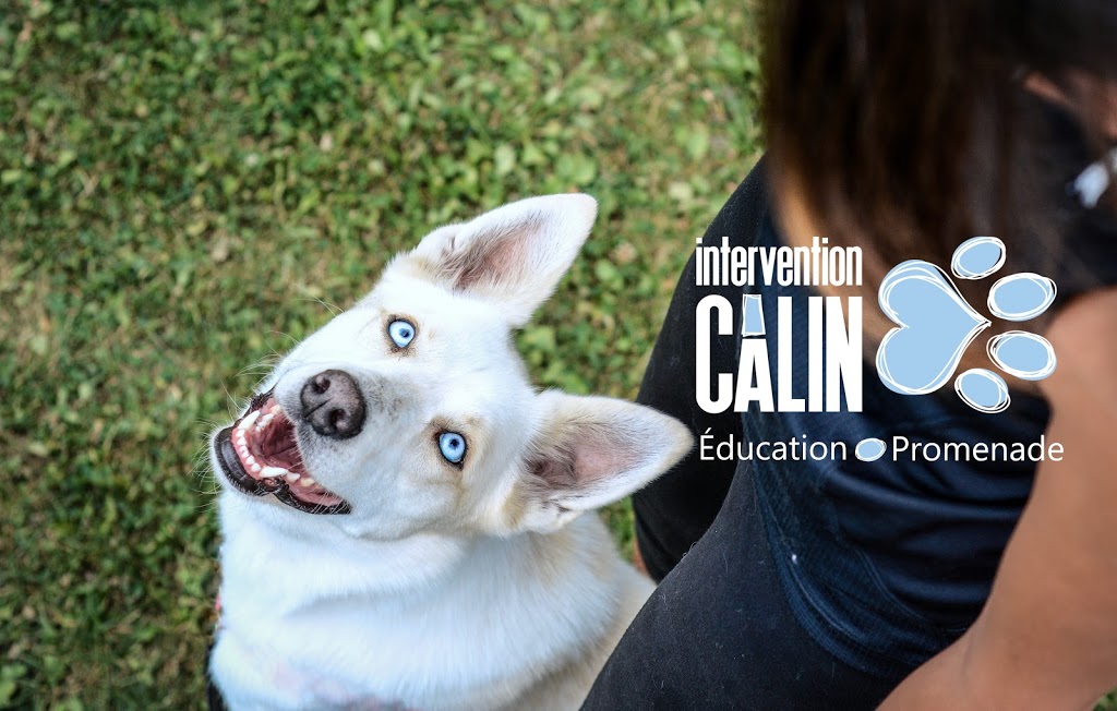 Intervention Calin | 140 Boulevard Montcalm S, Candiac, QC J5R 4T4, Canada | Phone: (514) 437-9683