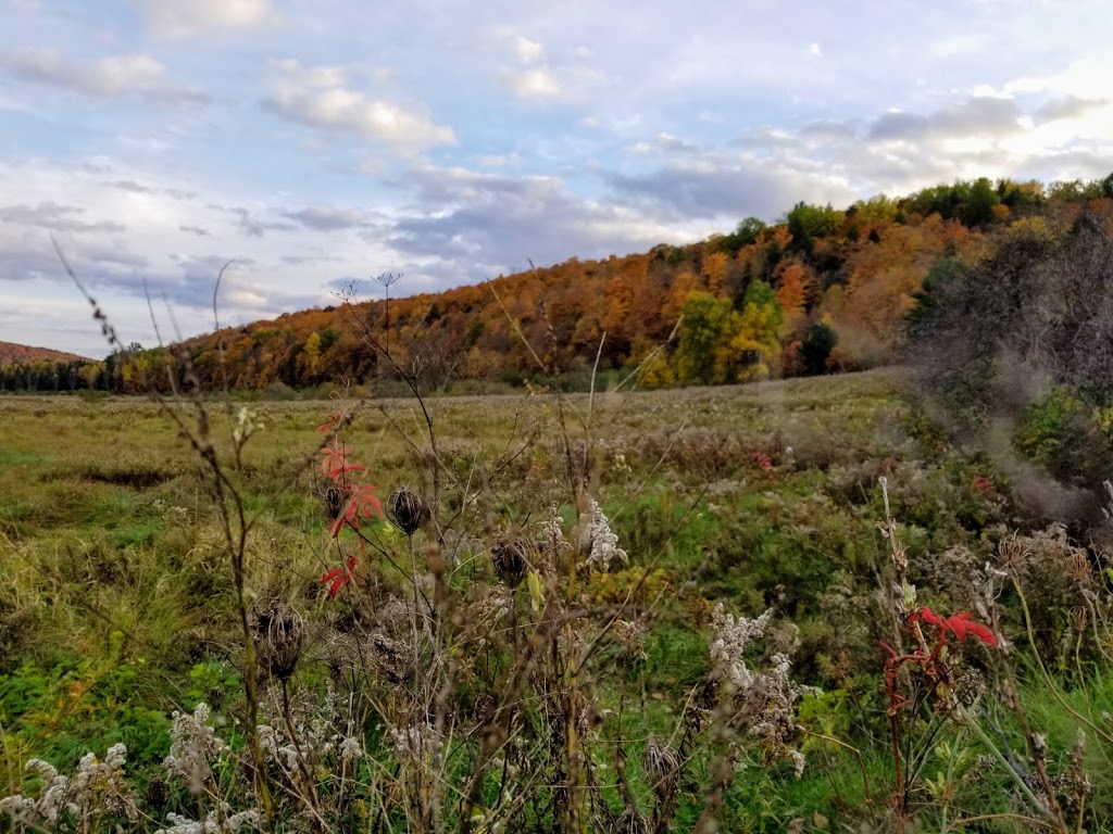 P16 Vallee-Meech | Chemin Pine, Chelsea, QC J9B 2K2, Canada