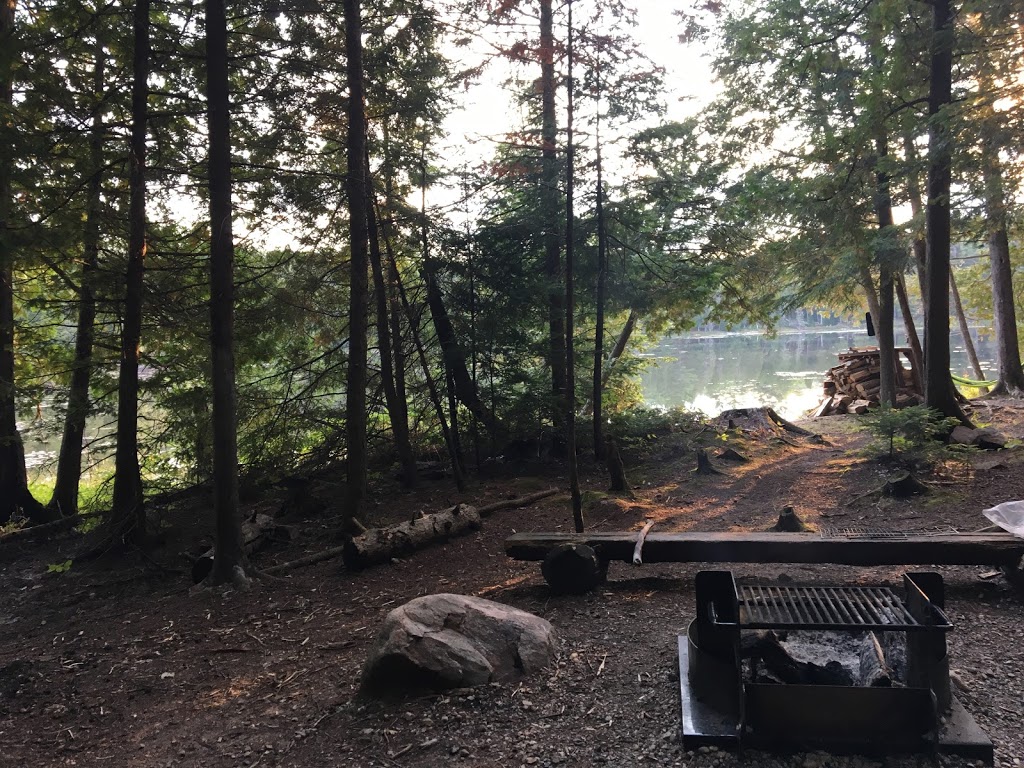 Lac la Pêche | Chemin Sincennes, Pontiac, QC J0X 2W0, Canada