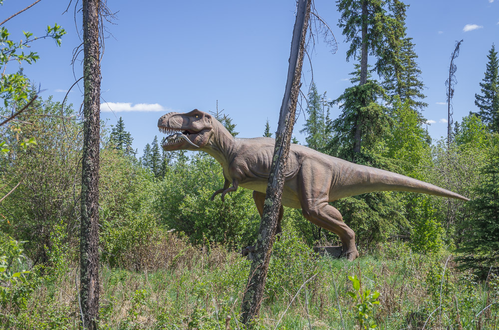 Jurassic Forest | 23210 Township Road 564 #2, Gibbons, AB T0A 1N0, Canada | Phone: (780) 470-2446