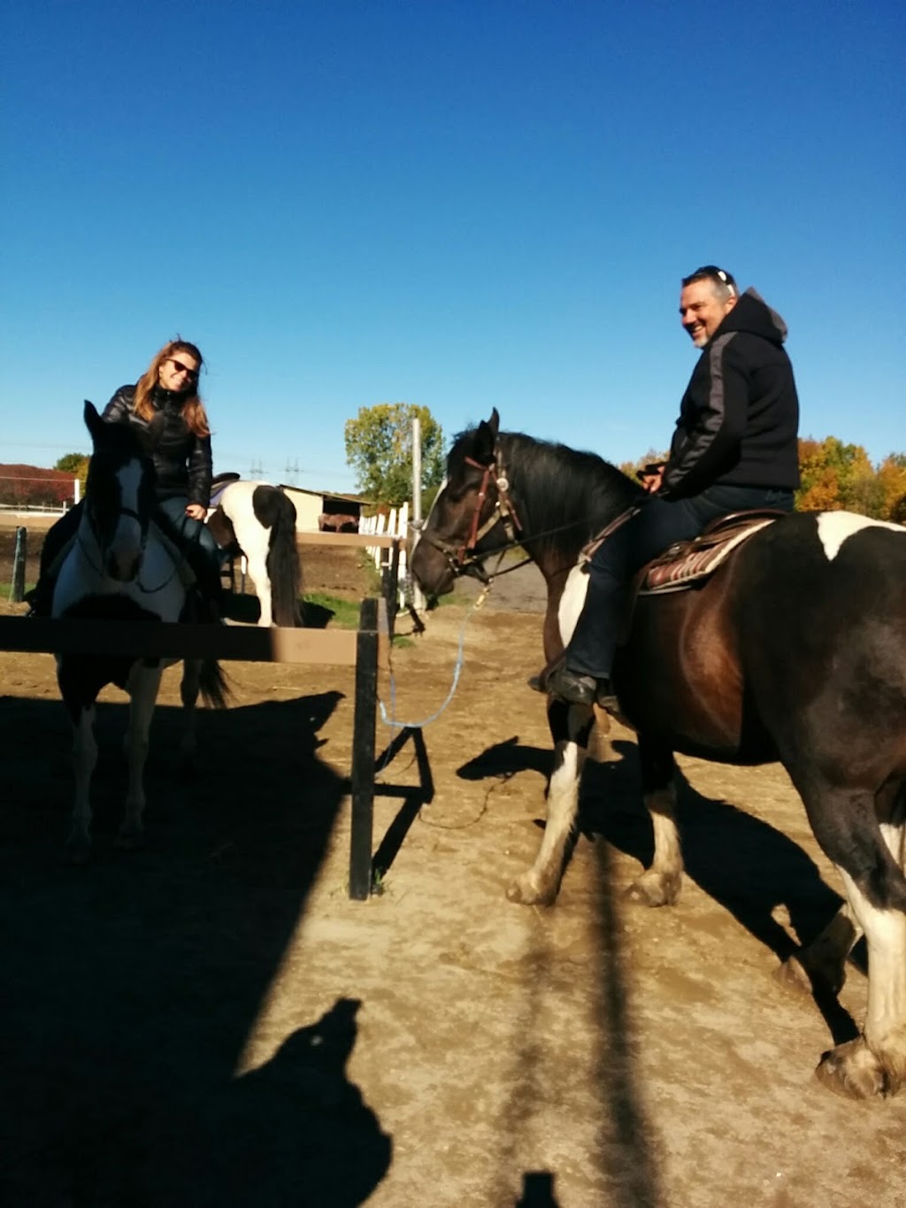 Ranch Liberté | 324 Côte Saint-Jean, Saint-Roch-de-Richelieu, QC J0L 2M0, Canada | Phone: (450) 743-9444