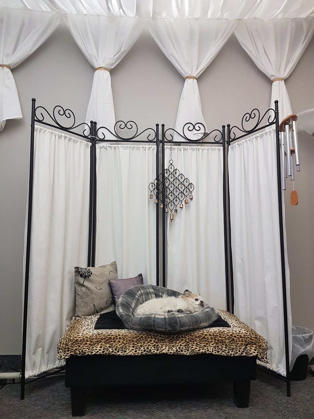 Pet Heaven Crematorium And Funeral Chapel | 5648 Burbank Rd SE, Calgary, AB T2H 1Z4, Canada | Phone: (403) 266-2911