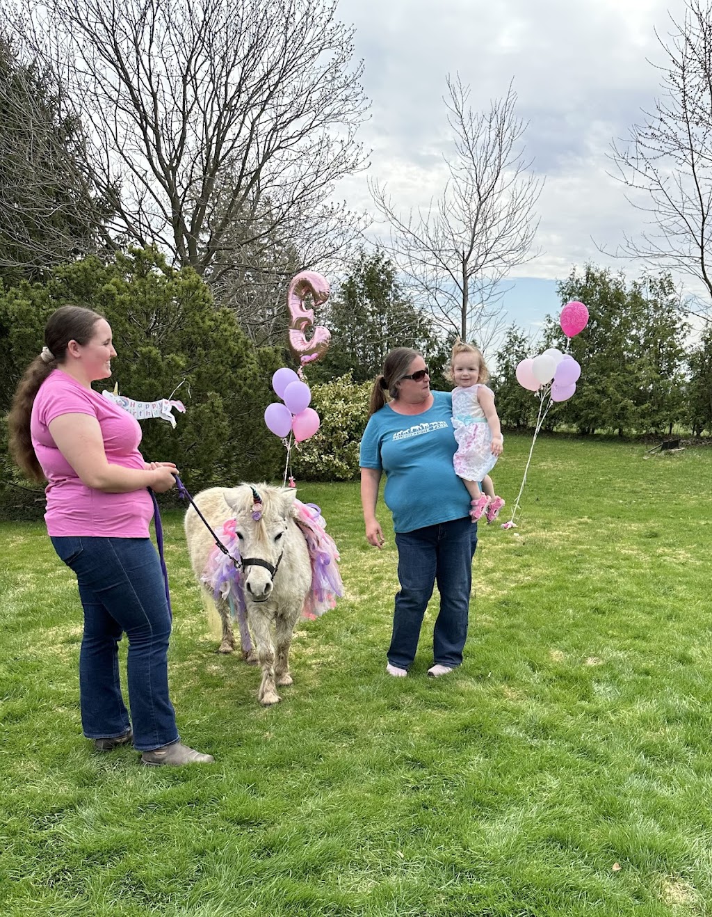 Touchstone Farm | RR2, Embro, ON N0J 1J0, Canada | Phone: (519) 535-2787
