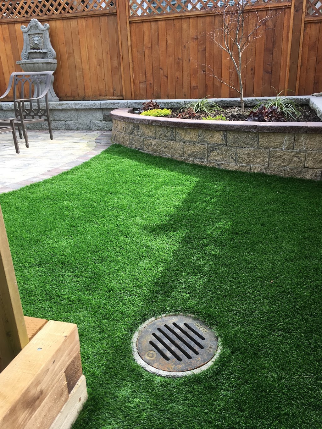 Premium Grass Blades | 20285 Stewart Crescent Unit 102, Maple Ridge, BC V2X 8G1, Canada | Phone: (604) 757-2899