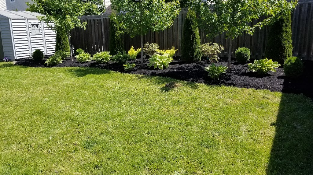 BZ Lawn Care & Property Maintenance | 259 James St E, Orillia, ON L3V 1M3, Canada | Phone: (705) 345-4454