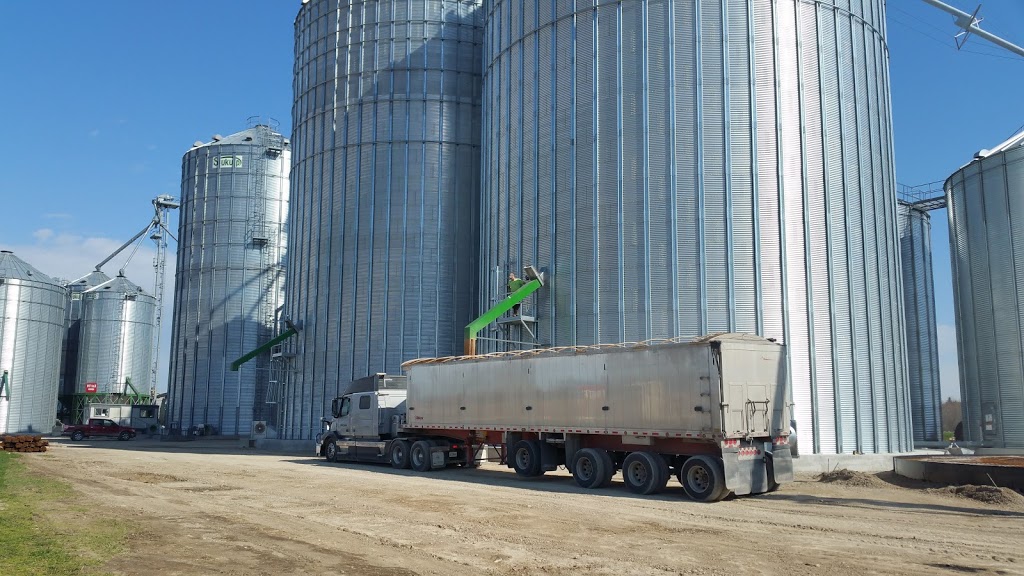 V.D.B. Grains Ltd. | 6448 Perth Line 34, Mitchell, ON N0K 1N0, Canada | Phone: (519) 348-4560