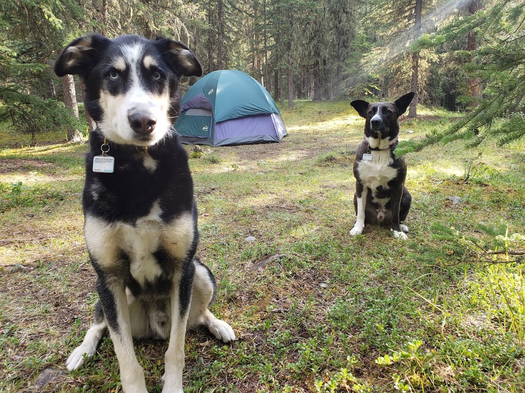 North Ghost Campground | Bighorn No. 8, AB T0L, Canada | Phone: (587) 830-2198