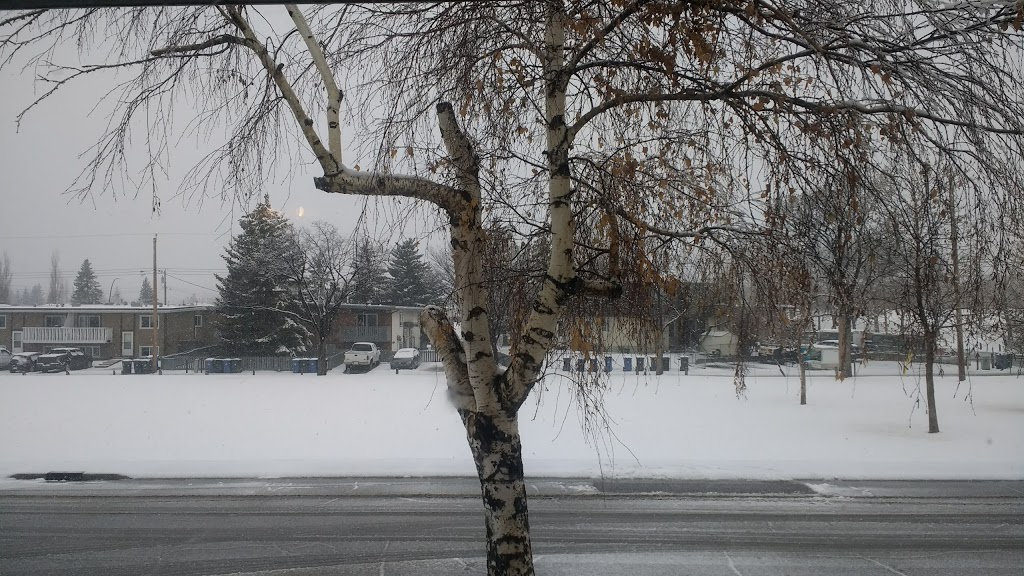 Little Playground | -437, 431 Huntley Way NE, Calgary, AB T2K 4Z7, Canada