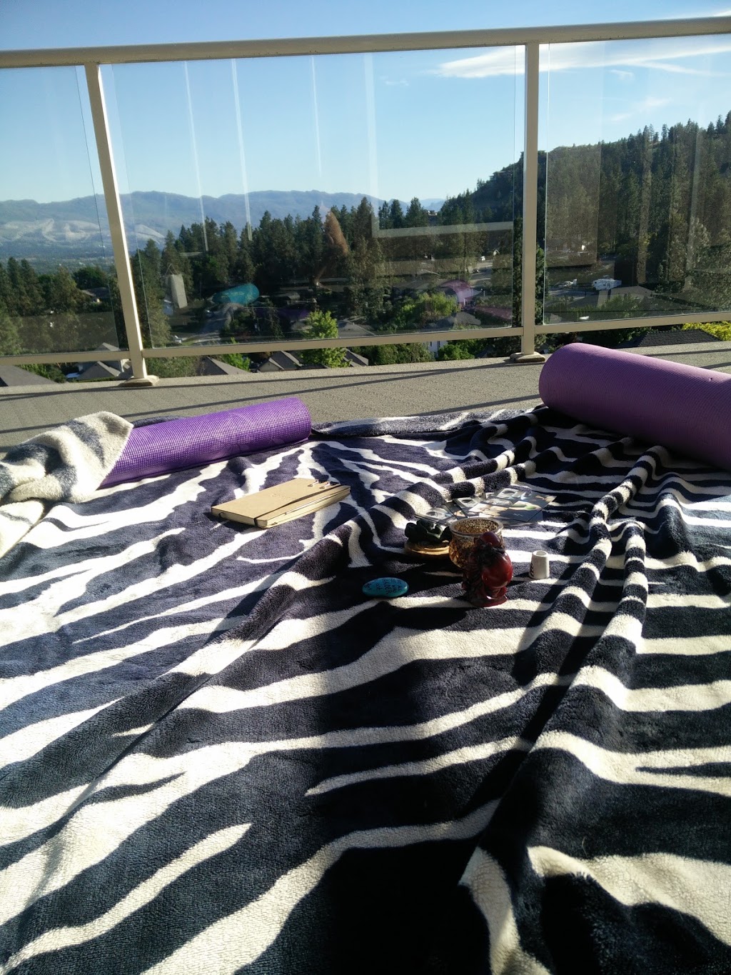 Grounded Birth | 1838 Edgehill Ave, Kelowna, BC V1V 1R7, Canada | Phone: (778) 214-3825