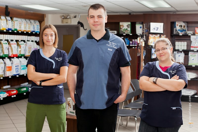 Clinique Vet Notre Dame | 744 Rue Notre Dame O, Victoriaville, QC G6P 1T8, Canada | Phone: (819) 758-4343