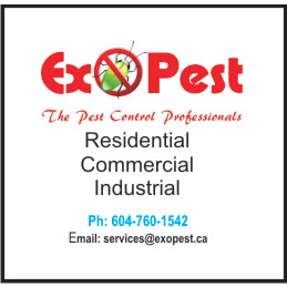 Exopest Pest control | 47, 20821 Fraser Hwy, Langley City, BC V3A 4G7, Canada | Phone: (604) 760-1542