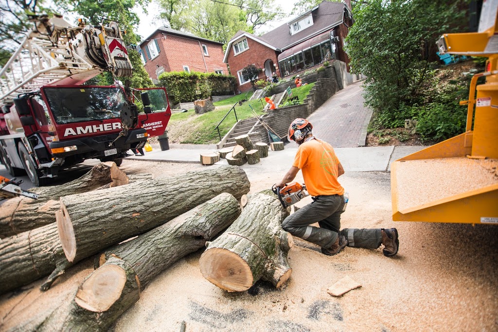Rockwood Tree Services | 925 Bayly St Unit 28, Pickering, ON L1W 1L4, Canada | Phone: (647) 836-7060
