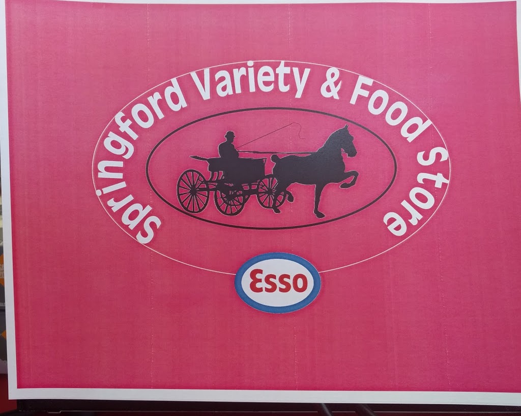 Esso | 3 West Street North 13 & 19, Springford, ON N0J 1X0, Canada | Phone: (519) 842-9327