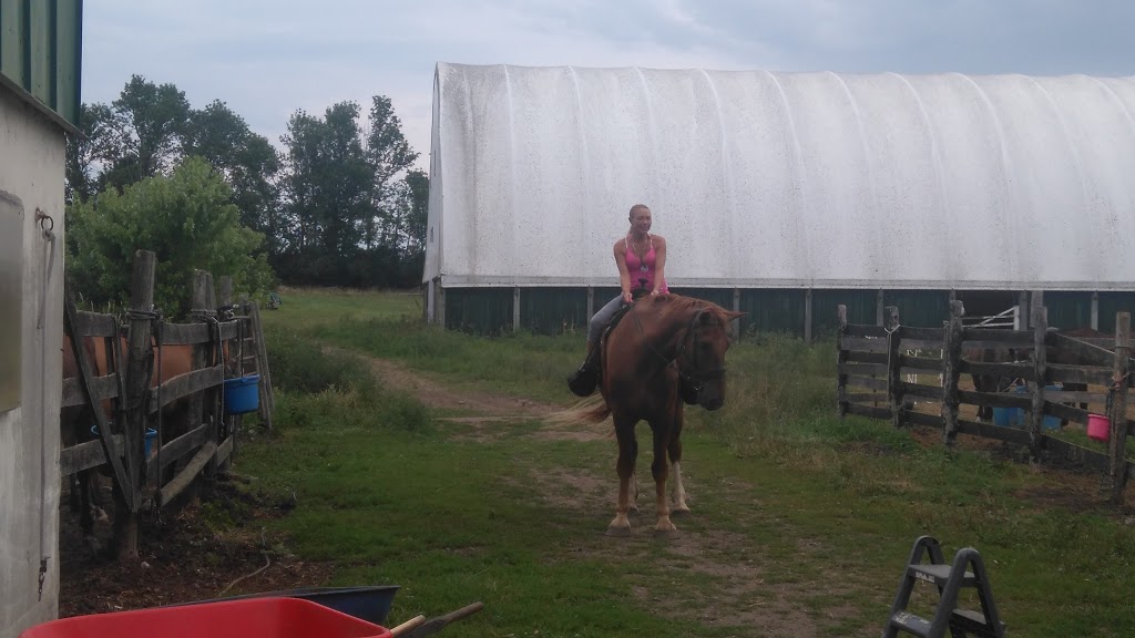 Tanglewood Farm | 31 Zufelt Rd, Consecon, ON K0K 1T0, Canada | Phone: (613) 392-8239