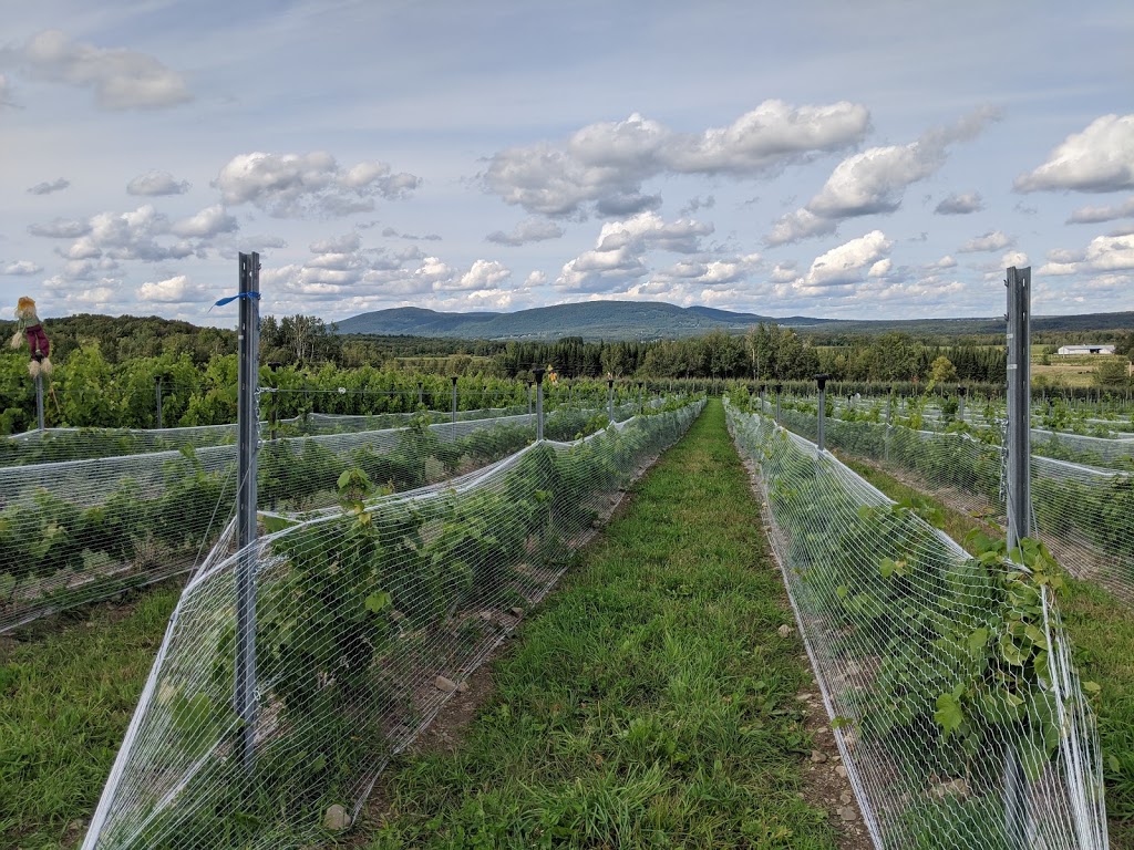 Verger Les Champs Vallons | 331 Chemin Brome, Fulford, QC J0E 1S0, Canada | Phone: (514) 916-4165