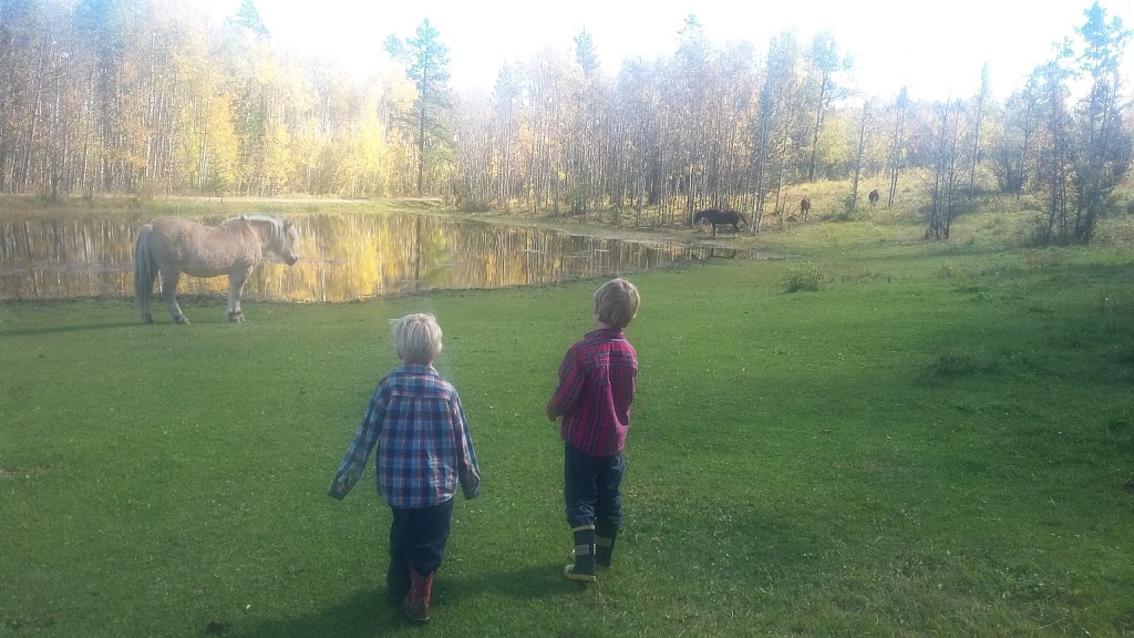 Homeplace Ranch | Foothills No. 31, AB T0L 1W0, Canada | Phone: (403) 969-4444
