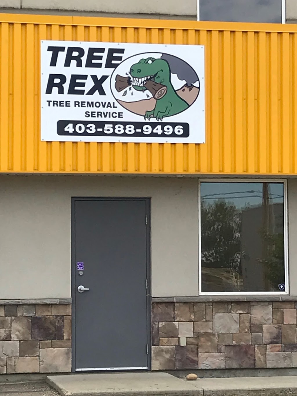 Tree Rex Tree Removal Service | 3409 53 Ave, Lacombe, AB T4L 0C6, Canada | Phone: (403) 588-9496