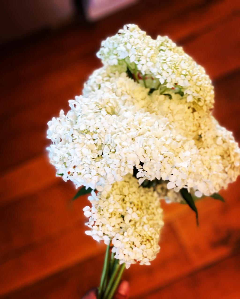 Flor gardens | Fourth Line Nassagaweya, Rockwood, ON N0B 2K0, Canada | Phone: (416) 573-3887