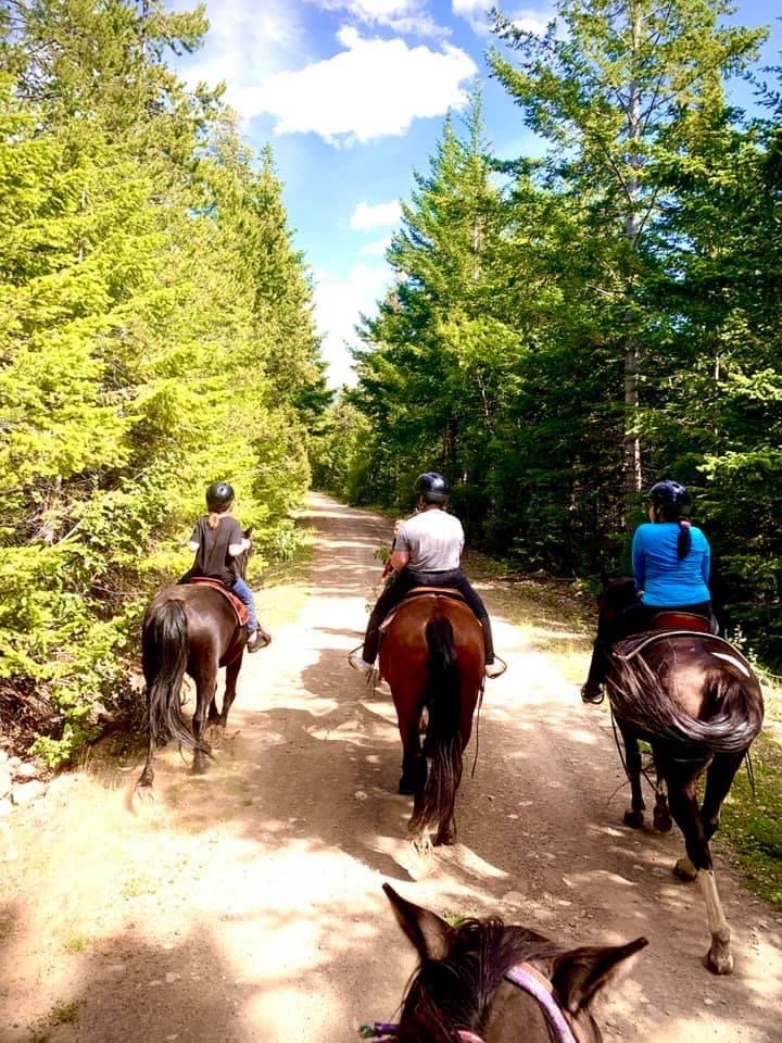 Bracewells Alpine Wilderness Adventures | Tatlayoko Lake, BC V0L 1W0, Canada | Phone: (778) 786-0926