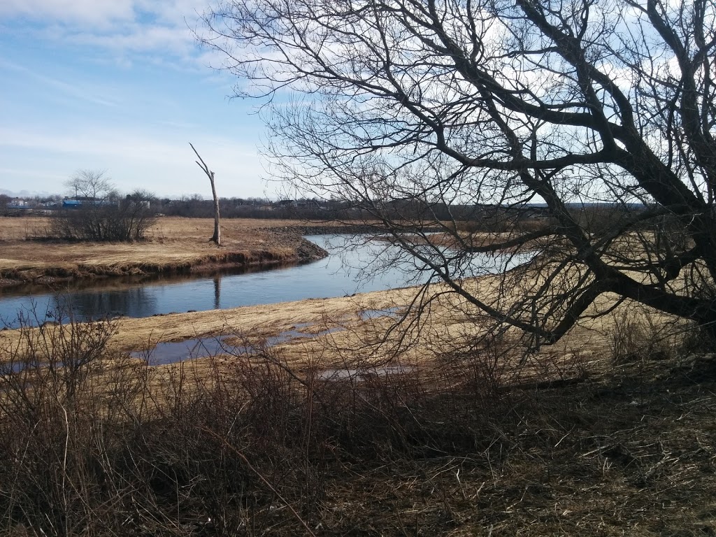 Truro - Bible Hill Off-Leash Dog Park | Lorne St, Truro, NS B2N 2C9, Canada | Phone: (902) 893-6078