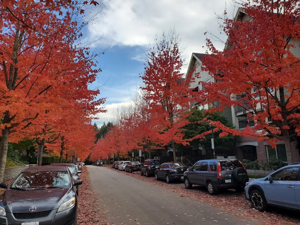 Thunderbird Student Residence | 6335 Thunderbird Crescent, Vancouver, BC V6T 2G9, Canada | Phone: (604) 822-1233