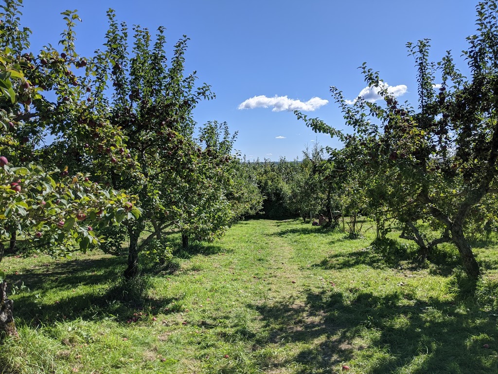 Pomme Delisle | 156 QC-138, Neuville, QC G0A 2R0, Canada | Phone: (418) 876-3745