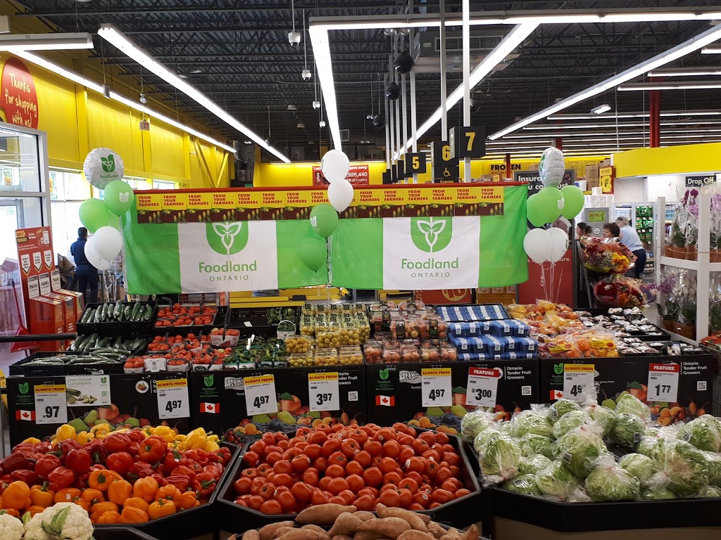 Johns No Frills | 101 2nd Line, Shelburne, ON L9V 3J4, Canada | Phone: (866) 987-6453